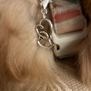 ❤️Silver double heart pet charm